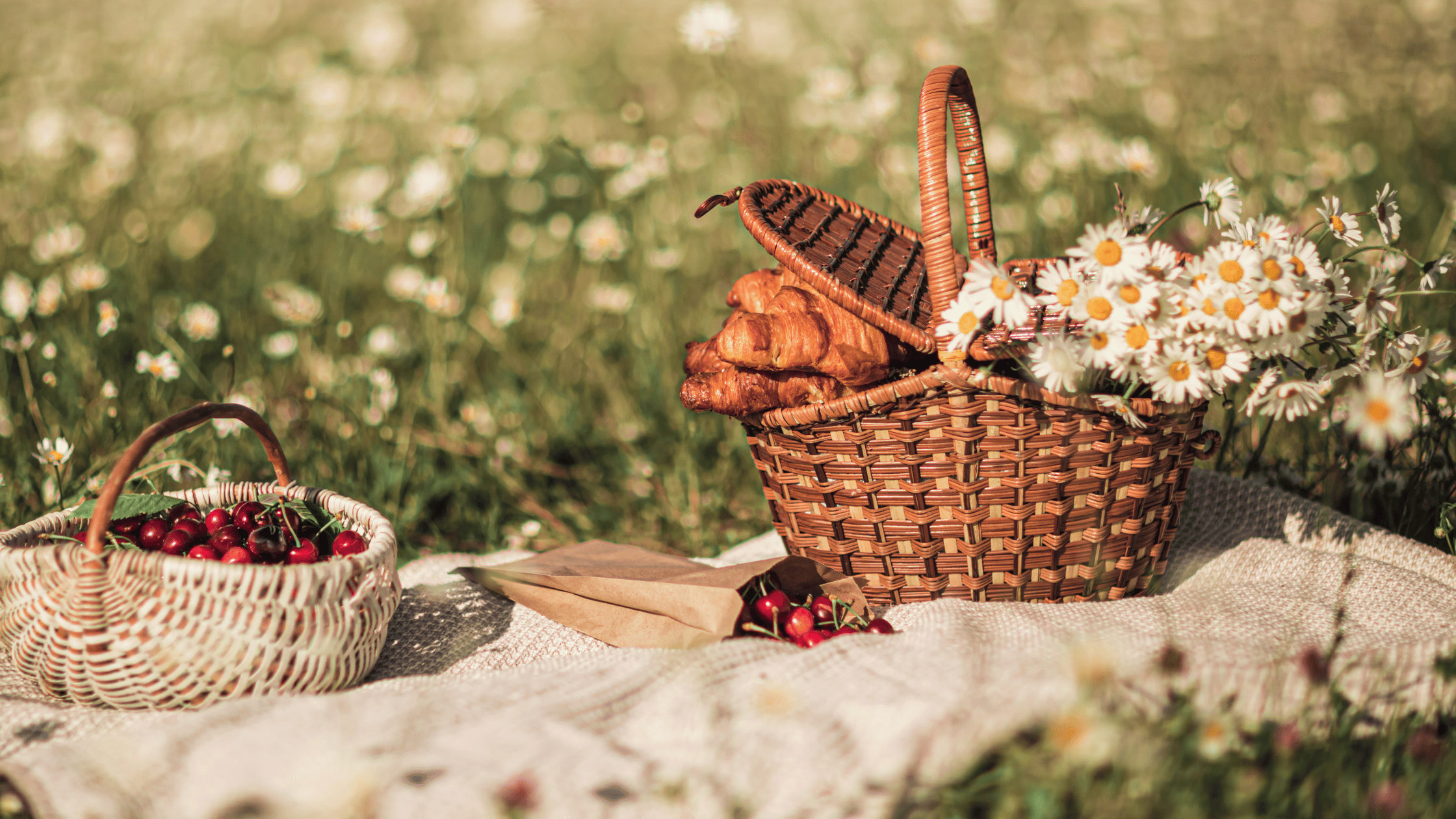 A cozy picnic setup with a woven basket filled with a baguette and fresh daisies, laid out on a blanket in a grassy field.