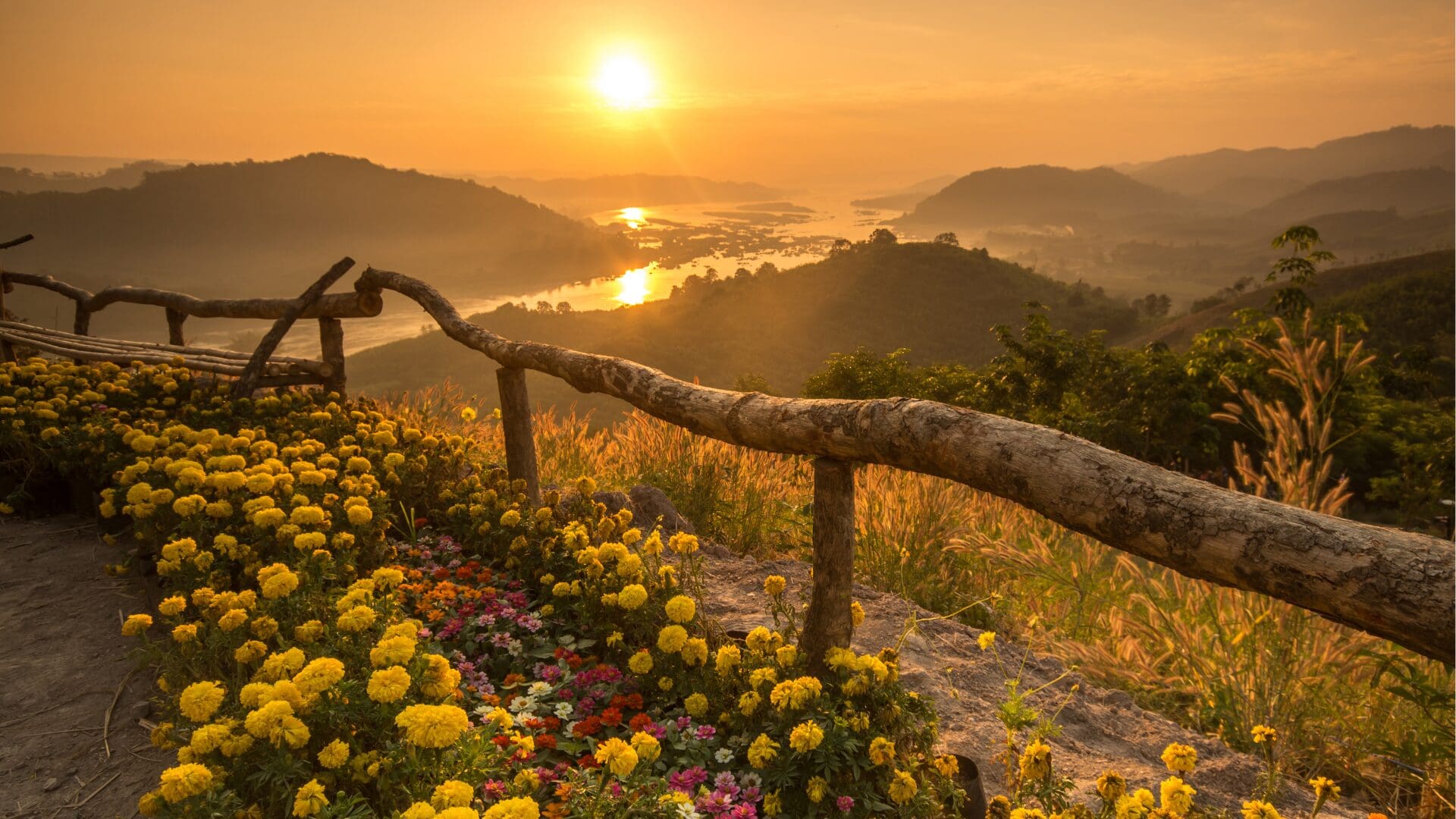 peaceful nature image representing peace from quotes for eating disorder recovery